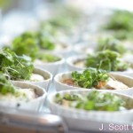 J. Scott Catering Vegetarian Options